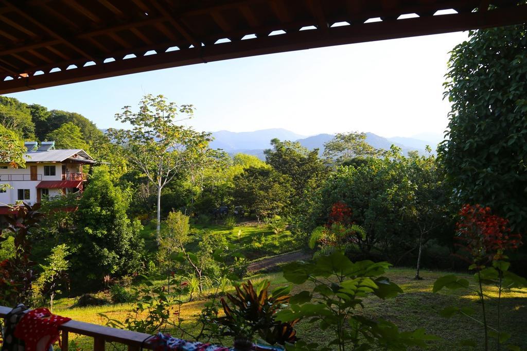 Blue Banyan Inn Quepos Exterior foto