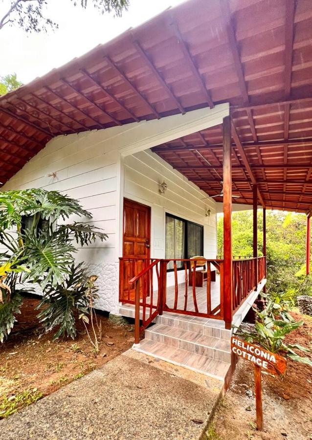 Blue Banyan Inn Quepos Exterior foto