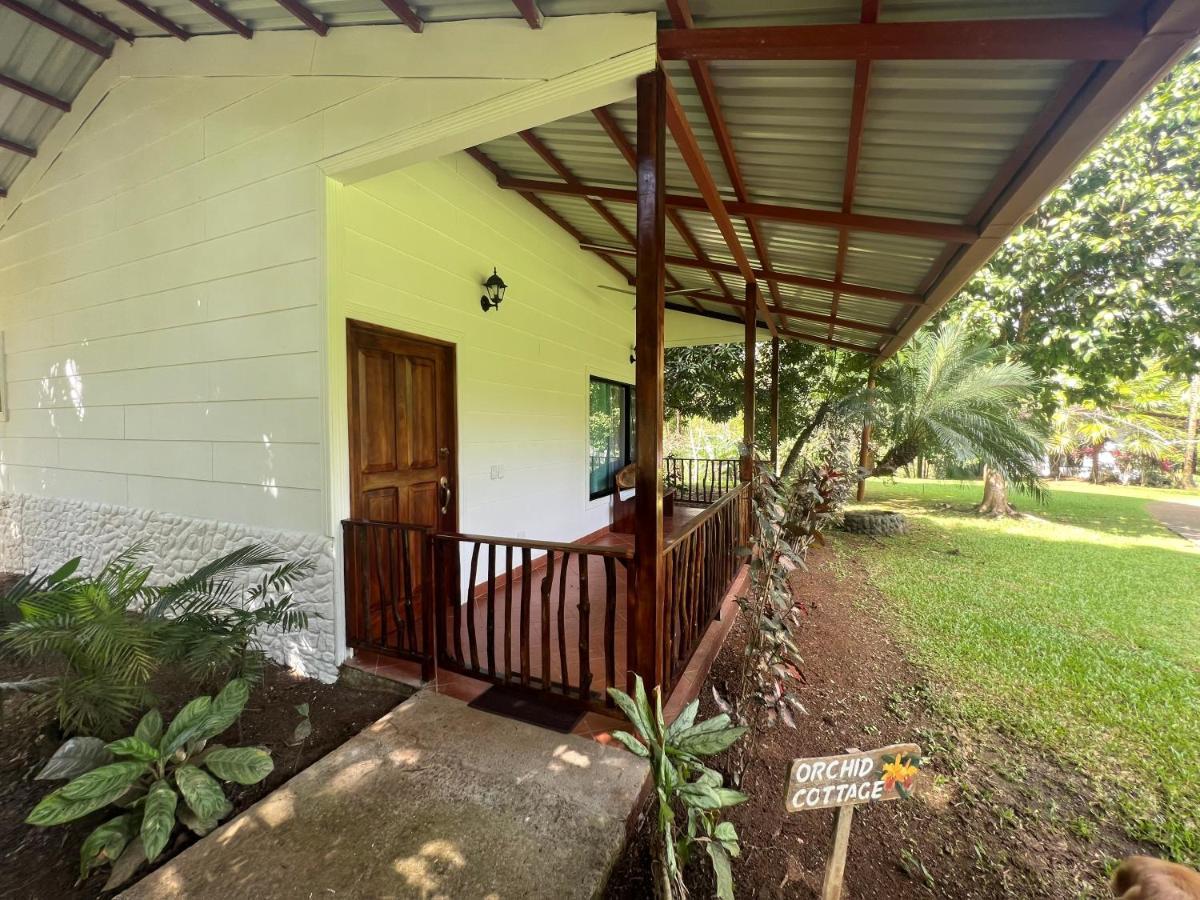 Blue Banyan Inn Quepos Exterior foto